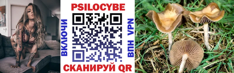 mega вход  Ковылкино  Галлюциногенные грибы мухоморы 